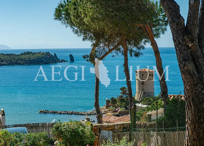 Giglio Rosso 2 Campese (Grosseto)